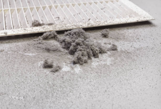 Best Local Air Duct Cleaning Services  in Ben Avon, PA